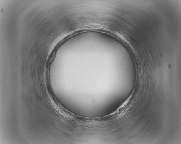 X0000053071085200508081213