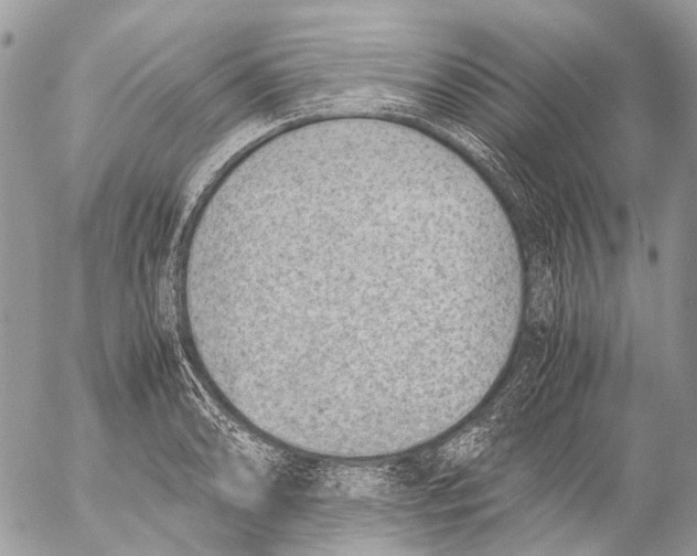 X0000053071086200508081213