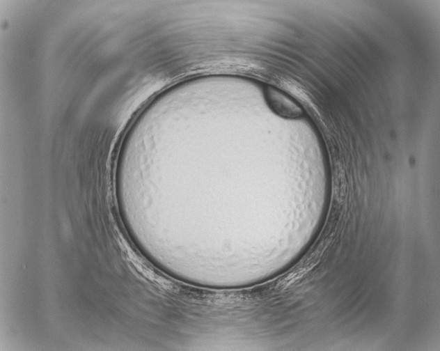 X0000053071087200508081213