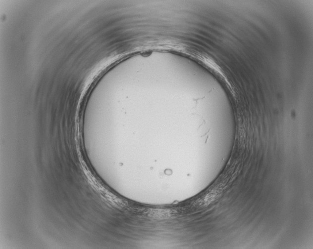 X0000053071088200508081213