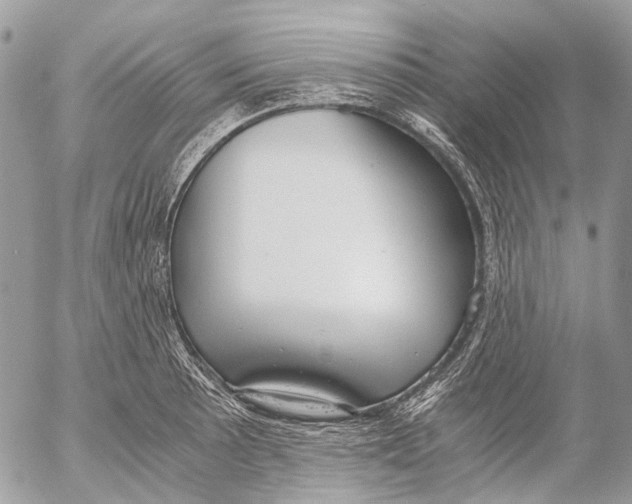 X0000053071089200508081213