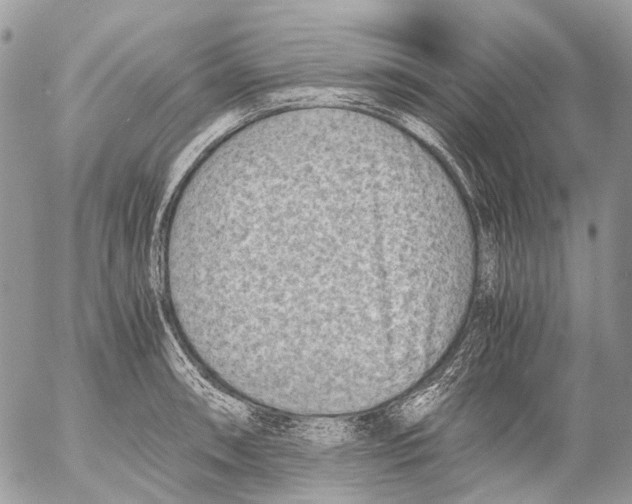 X0000053071090200508081213