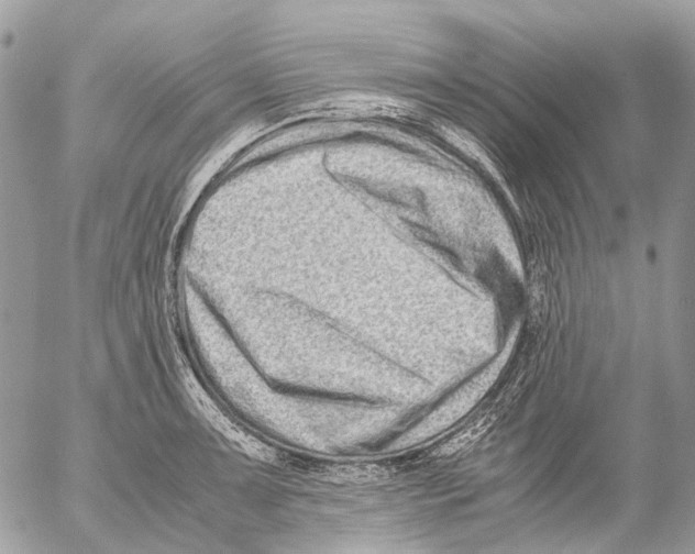 X0000053071091200508081213