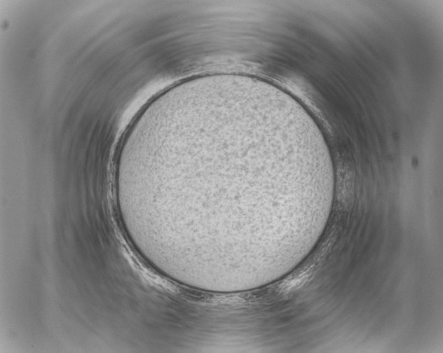 X0000053071094200508081213