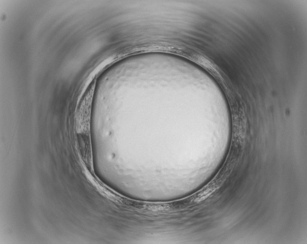 X0000053071095200508081213