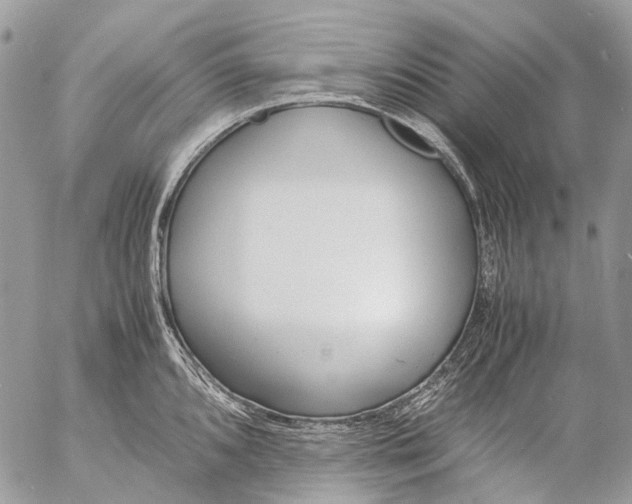 X0000053071096200508081213