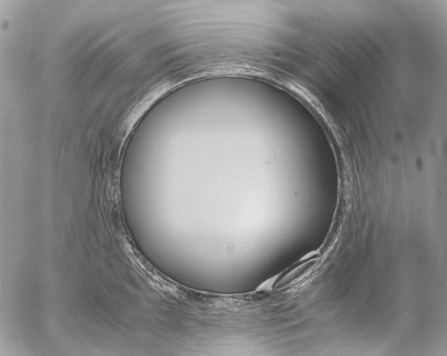 X0000053071097200508081213