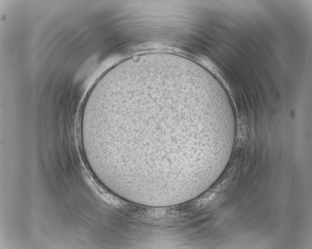 X0000053071098200508081213