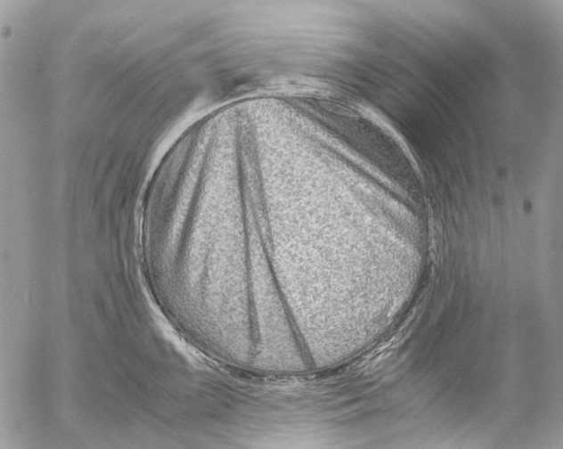 X0000053071099200508081213