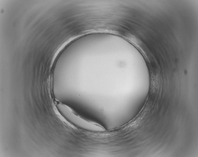 X0000053071100200508081213