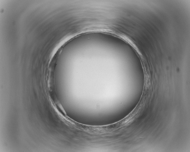 X0000053071101200508081213