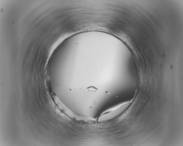 X0000053071102200508081213