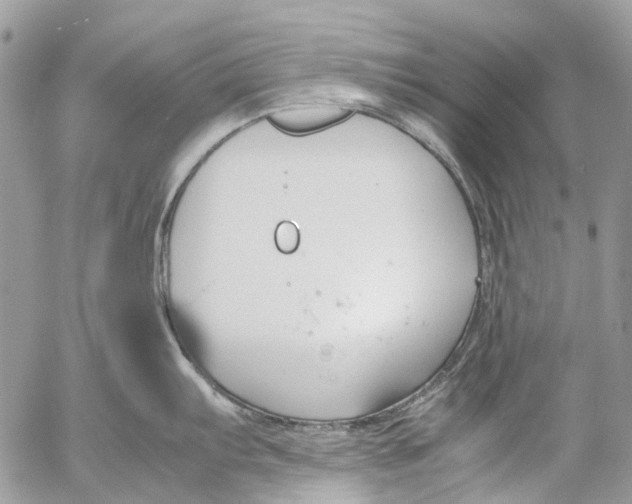 X0000053071103200508081213