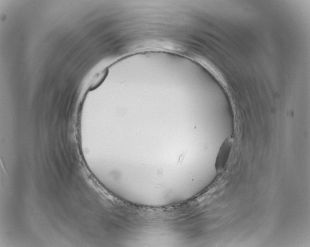 X0000053071104200508081213