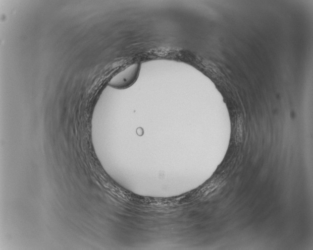 X0000053071105200508081212