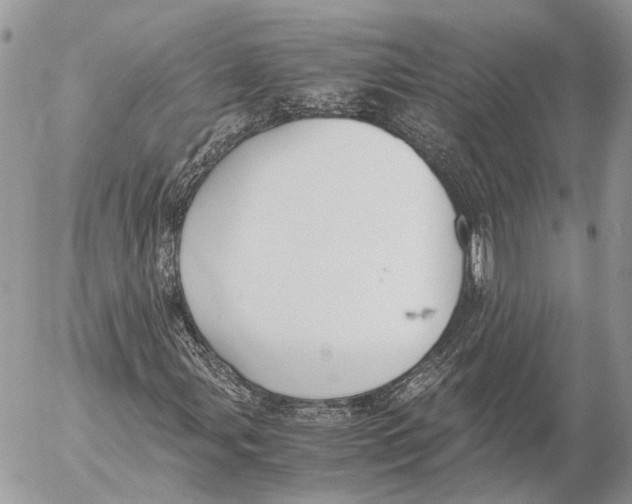 X0000053071107200508081212