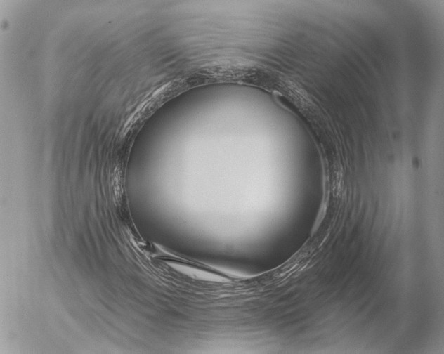 X0000053071108200508081212