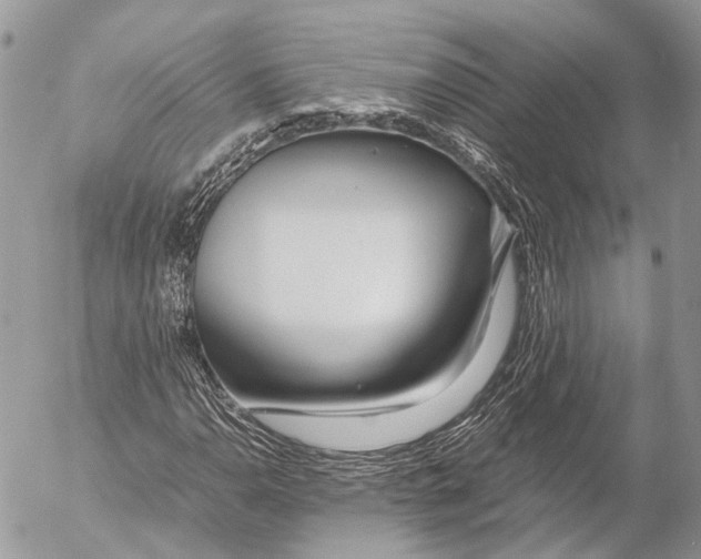 X0000053071110200508081212