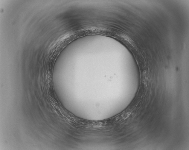 X0000053071111200508081212