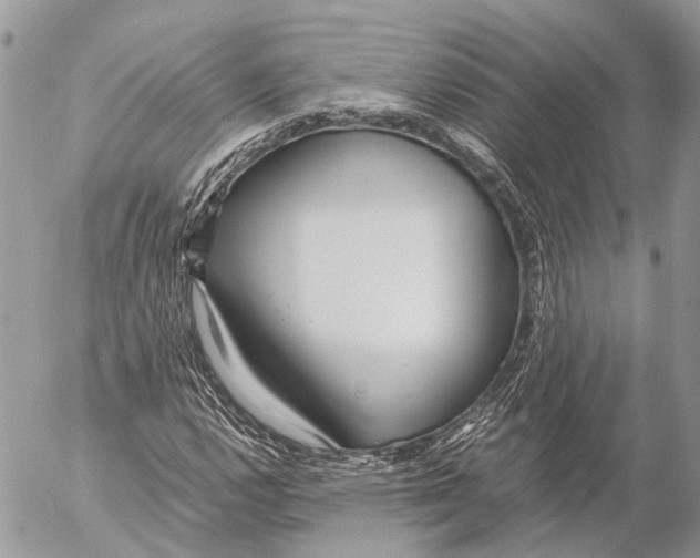 X0000053071112200508081212