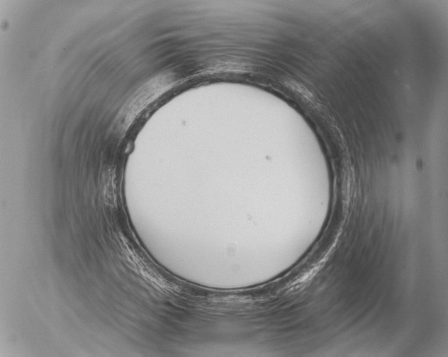 X0000053071113200508081212