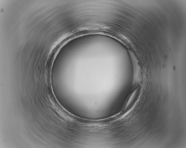 X0000053071114200508081212