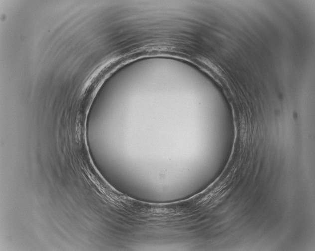 X0000053071115200508081212