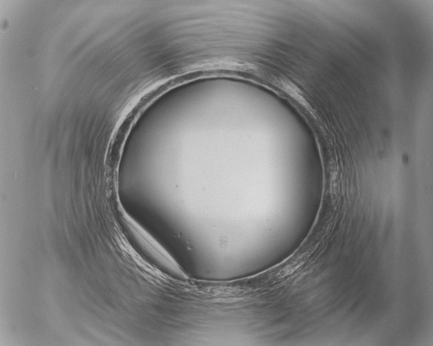 X0000053071116200508081212