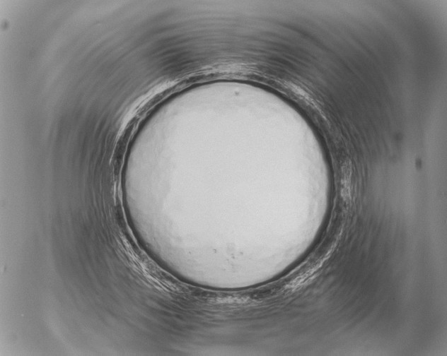 X0000053071117200508081213