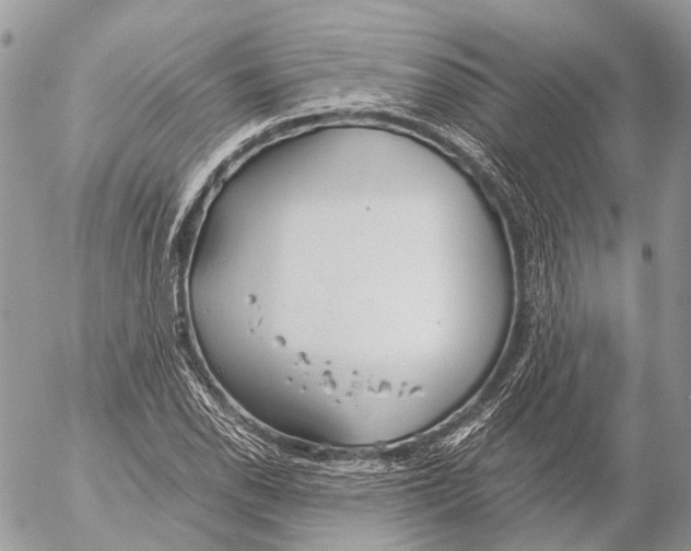 X0000053071118200508081213