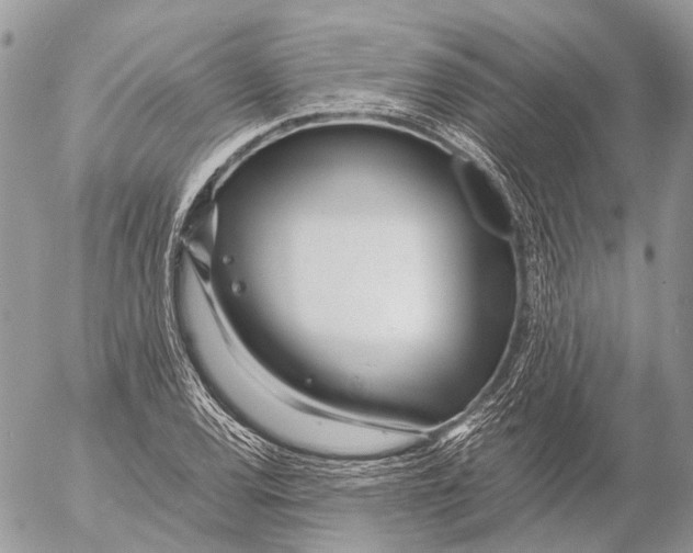 X0000053071120200508081213