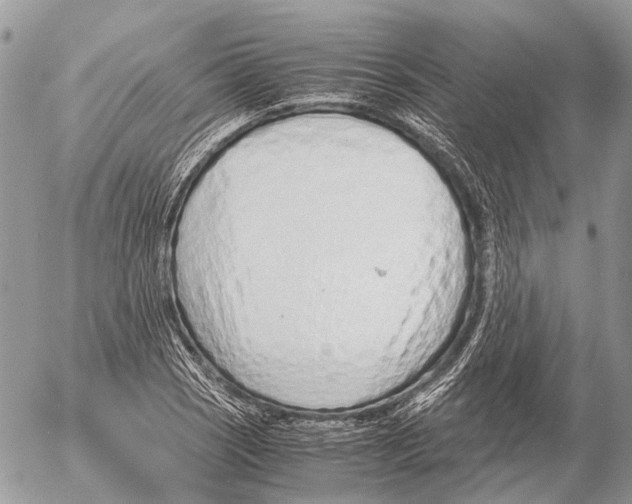 X0000053071121200508081213