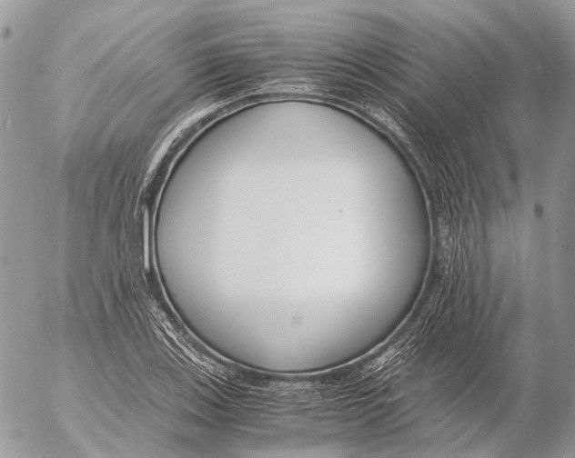 X0000053071123200508081213