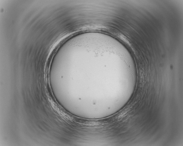 X0000053071124200508081213