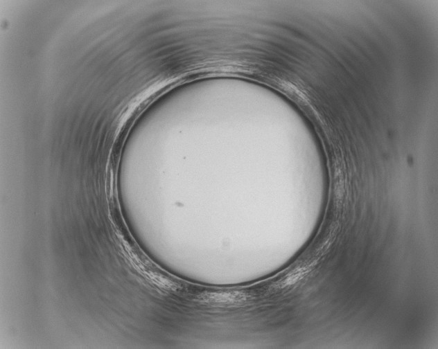 X0000053071125200508081213