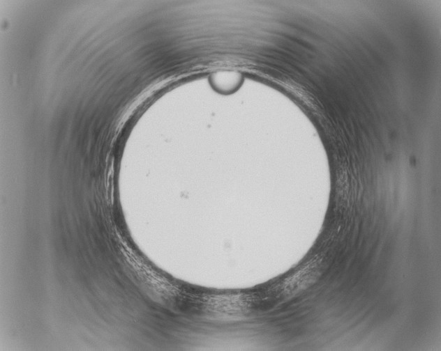 X0000053071126200508081213