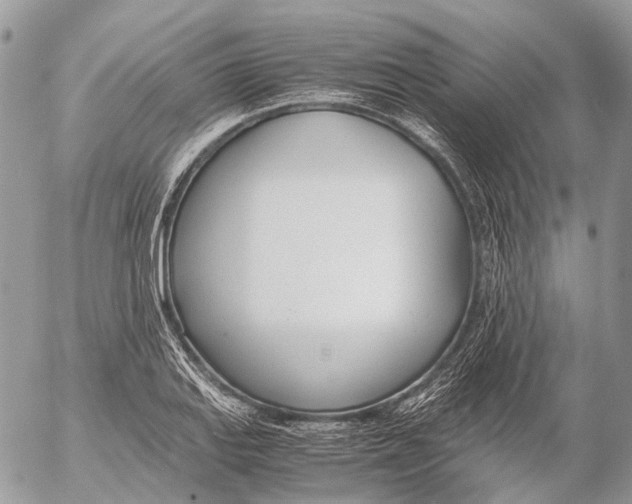 X0000053071127200508081213