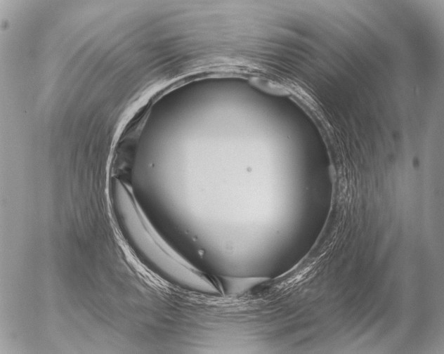 X0000053071128200508081213