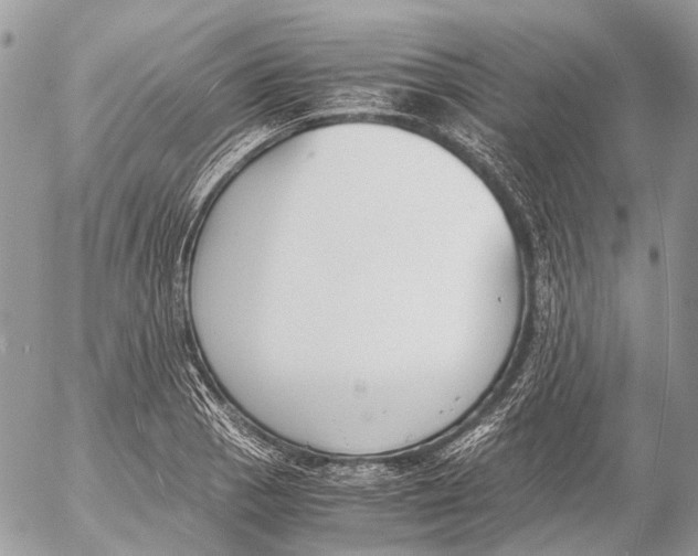 X0000053071129200508081213