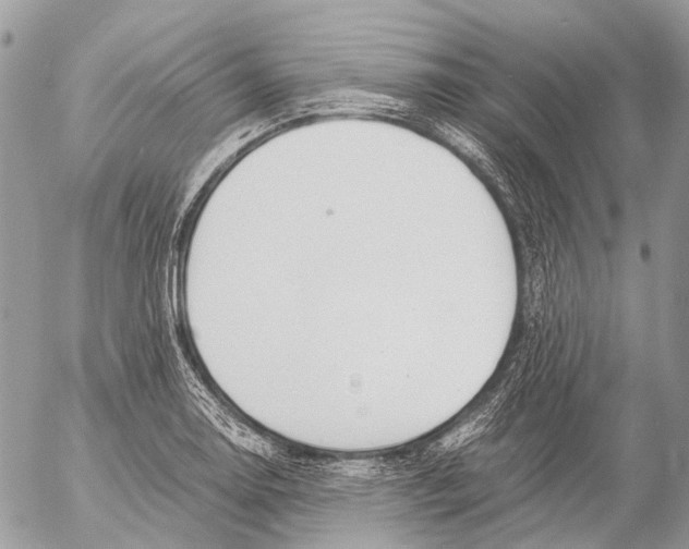 X0000053071130200508081213