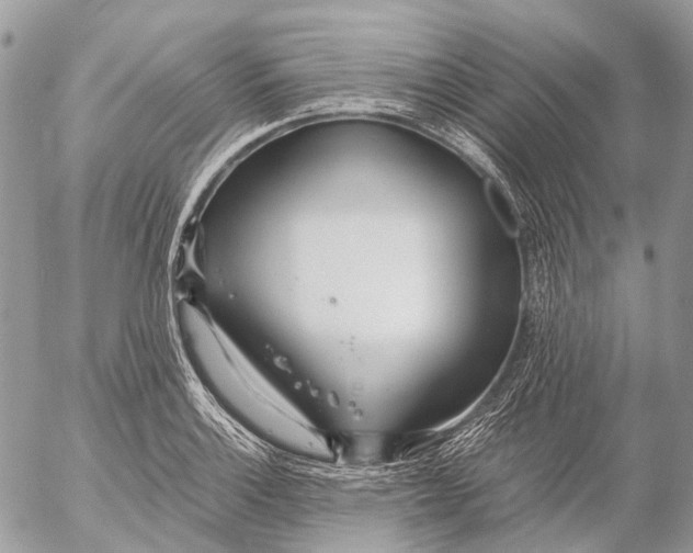 X0000053071132200508081213