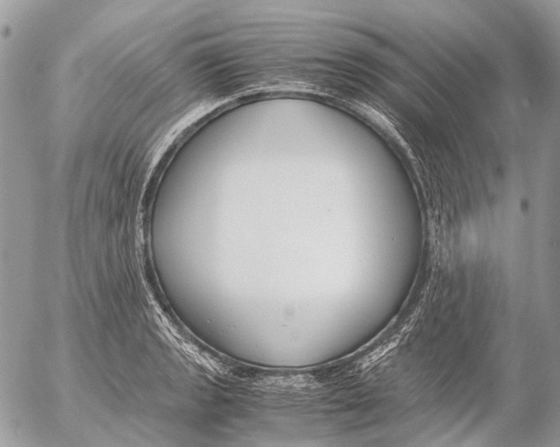 X0000053071133200508081213