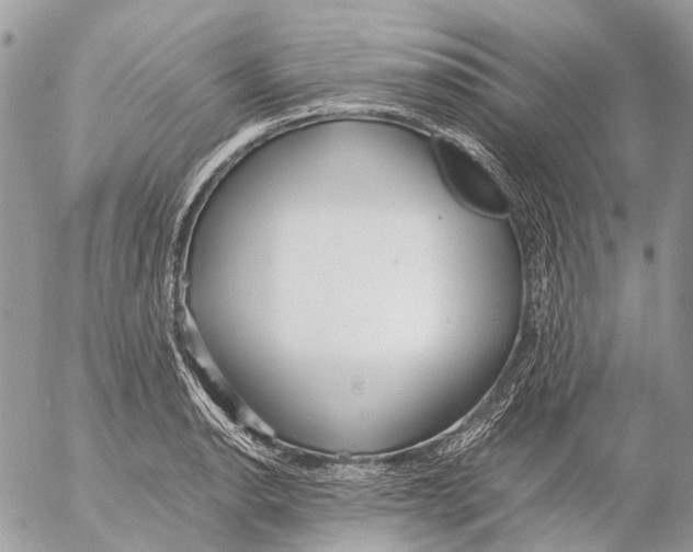 X0000053071134200508081213