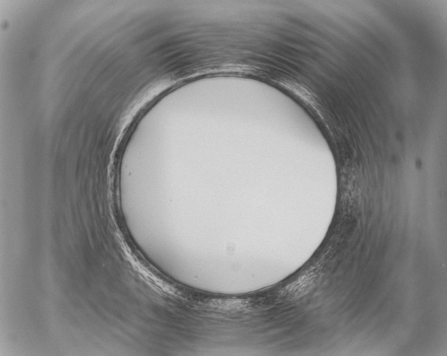 X0000053071135200508081213