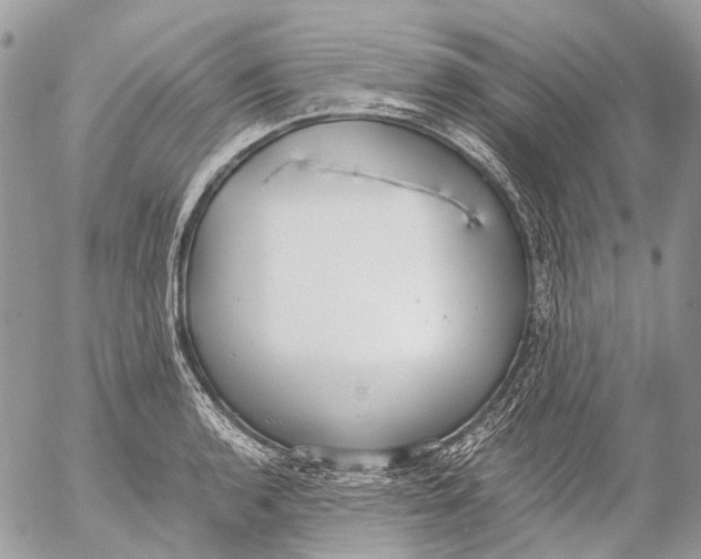 X0000053071136200508081213