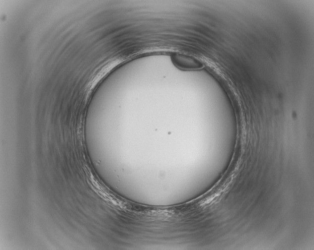 X0000053071137200508081213