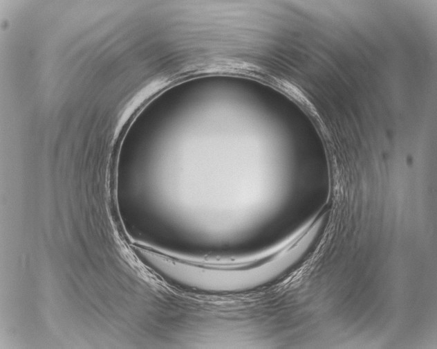 X0000053071138200508081213