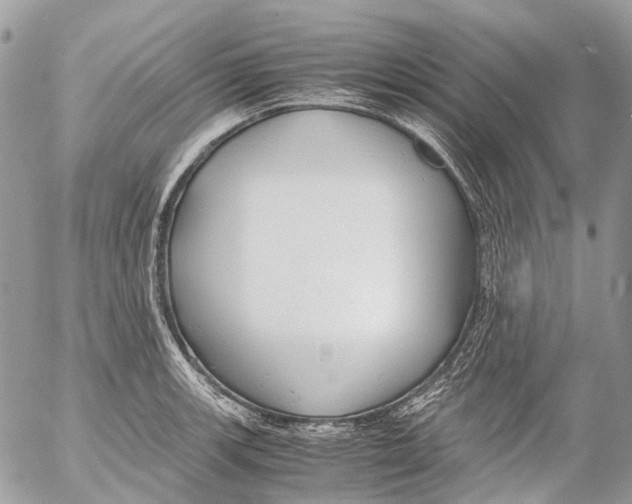 X0000053071139200508081213