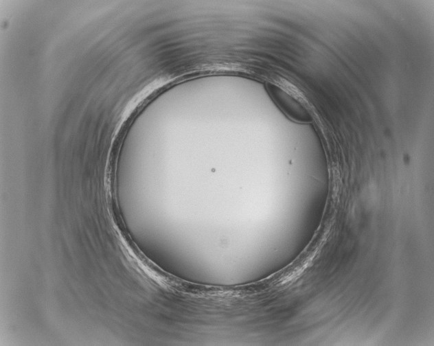 X0000053071141200508081213