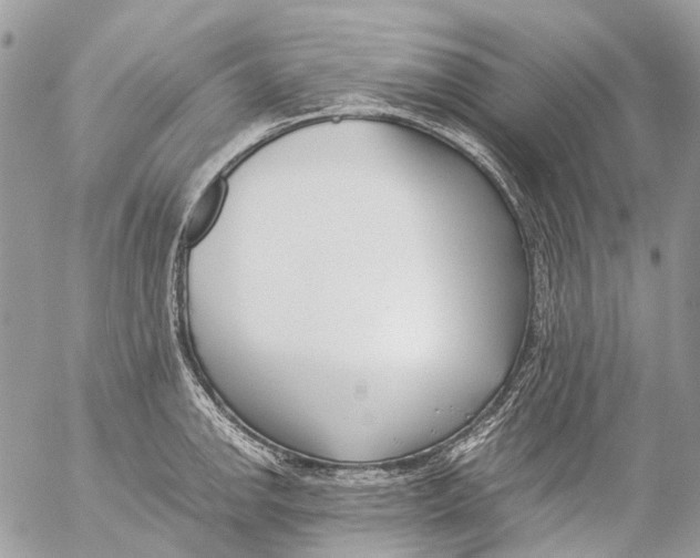 X0000053071142200508081213